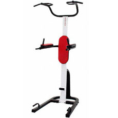 Aparato abdominales WEIDER PT 800
